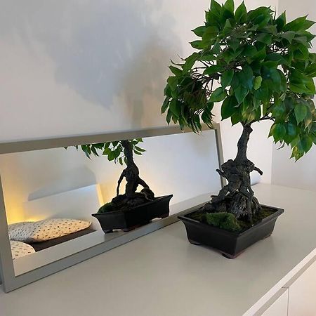 Magnifique Appartement A La Frontiere Suisse Saint-Louis  Extérieur photo