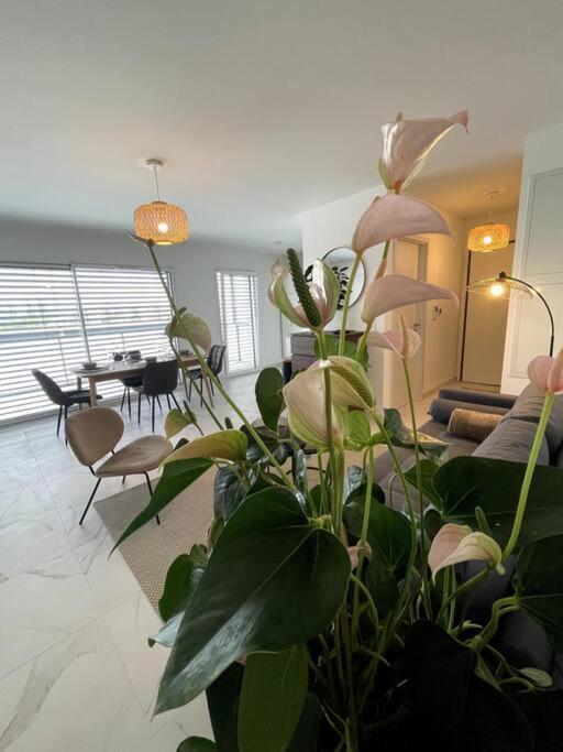 Magnifique Appartement A La Frontiere Suisse Saint-Louis  Extérieur photo