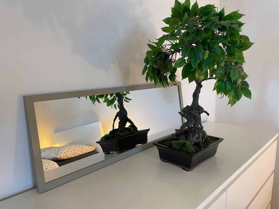 Magnifique Appartement A La Frontiere Suisse Saint-Louis  Extérieur photo