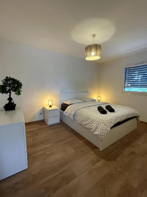 Magnifique Appartement A La Frontiere Suisse Saint-Louis  Extérieur photo