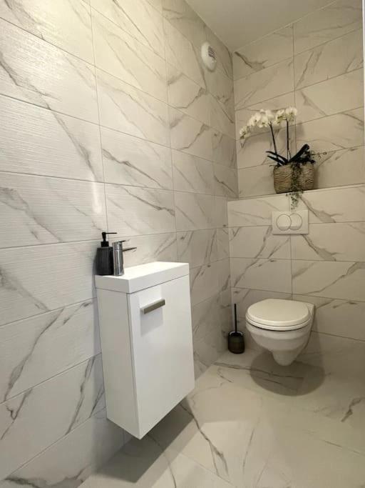 Magnifique Appartement A La Frontiere Suisse Saint-Louis  Extérieur photo